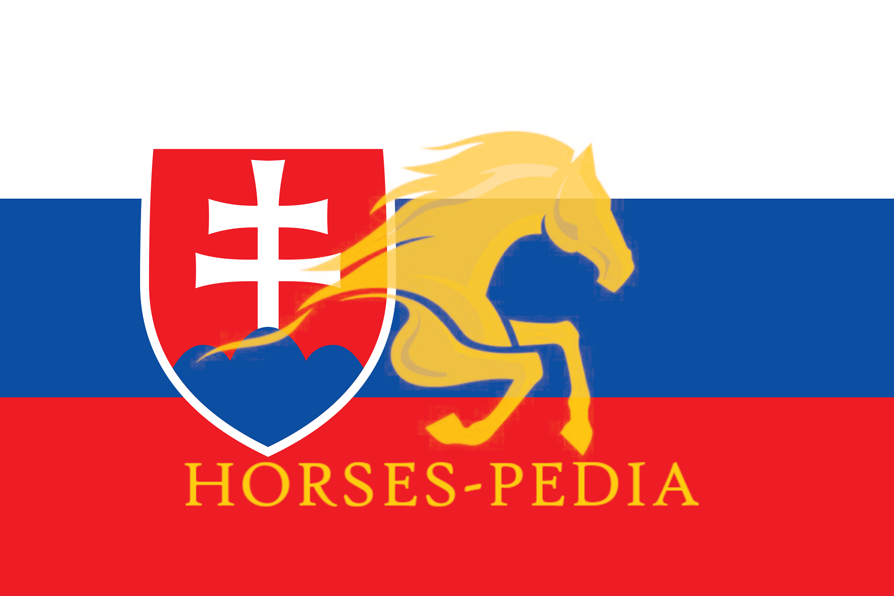 Slovakian derby day